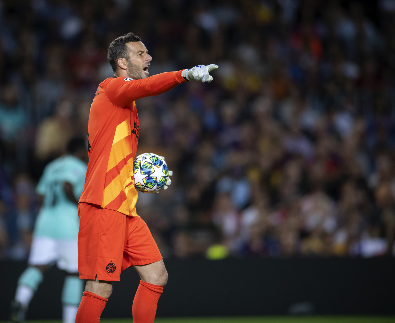 托纳利未来 托纳利未来